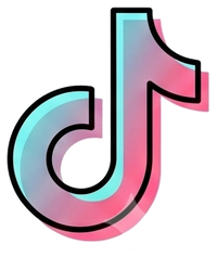 Social icon 2